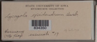 Image Associated With the Occurence